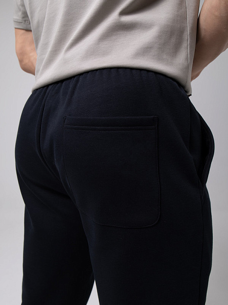 Strobbs E2579 брюки мужские Strobbs E2579 брюки мужские