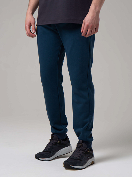 Strobbs E2474 брюки мужские Strobbs E2474 брюки мужские