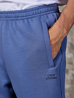 Strobbs E2310 Брюки мужские