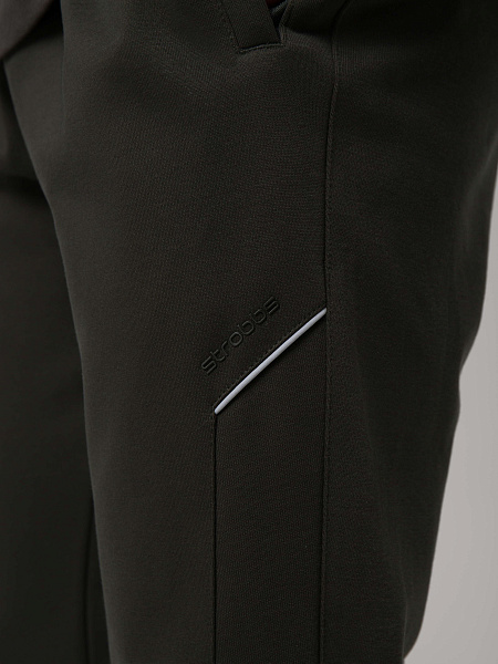 Strobbs E2494 брюки мужские Strobbs E2494 брюки мужские