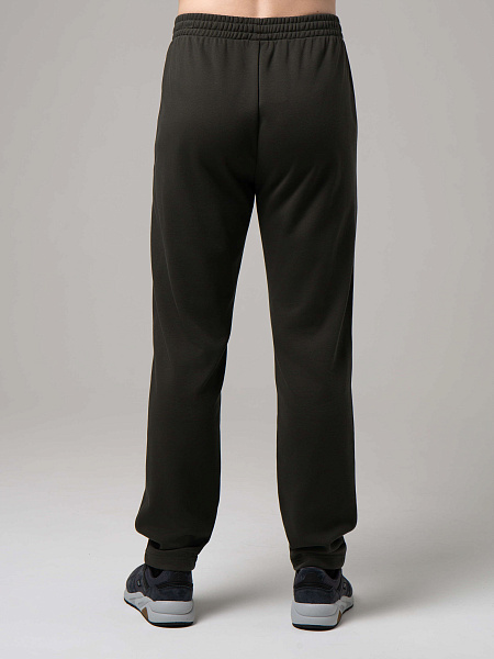 Strobbs E2494 брюки мужские Strobbs E2494 брюки мужские