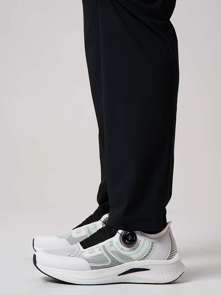 Strobbs E2544 брюки мужские Strobbs E2544 брюки мужские